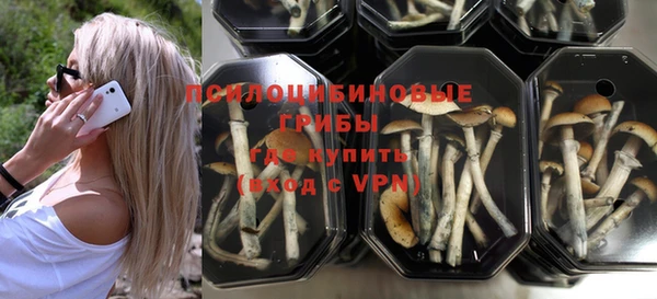 стаф Беломорск