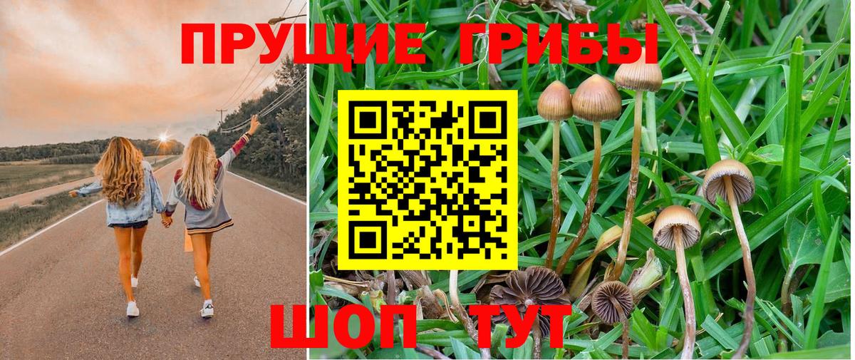 Галлюциногенные грибы Magic Shrooms  Вход с VPN  Сердобск 