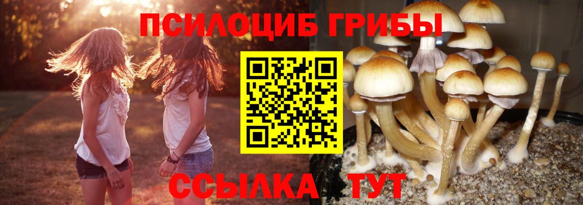 Псилоцибиновые грибы прущие грибы Сердобск